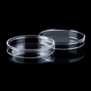 Quartz petri dish showing excellent optical clarity for precise sample observation
