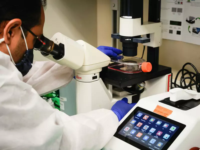 Laboratory research using quartz boats