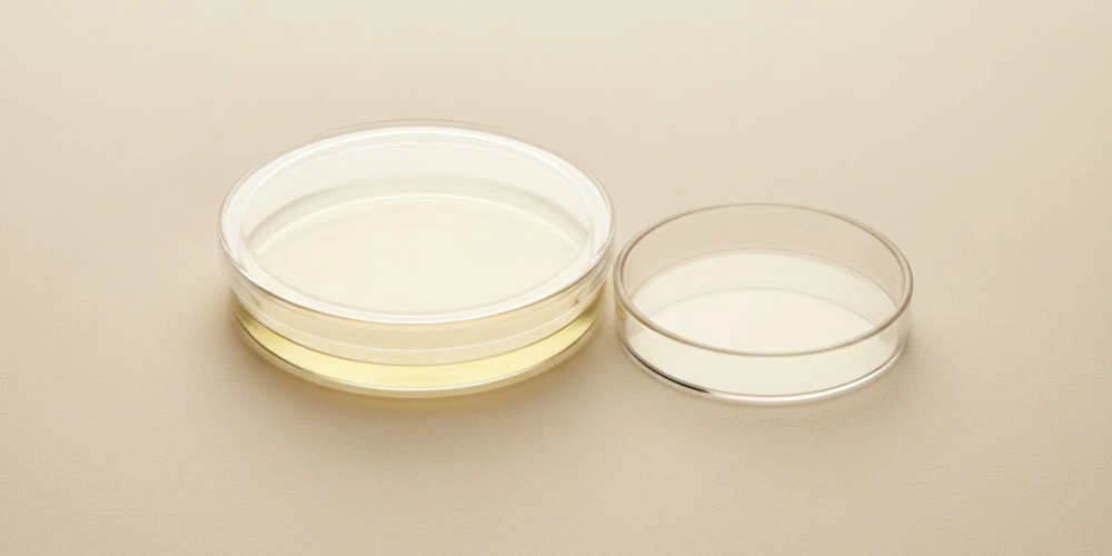 Chemical-resistant quartz petri dish for trace-sensitive analytical workflows