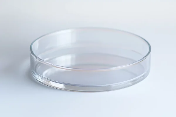 Premium laboratory-grade quartz petri dishes manufactured from 99.99% pure SiO₂. Premium laboratory-grade quartz petri dishes manufactured from 99.99% pure SiO₂.